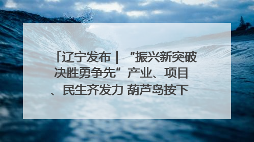 辽宁发布｜“振兴新突破 决胜勇争先”产业、项目、民生齐发力 葫芦岛按下决胜之年“加速键”