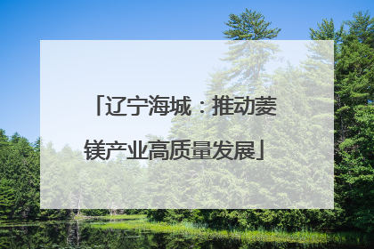 辽宁海城：推动菱镁产业高质量发展