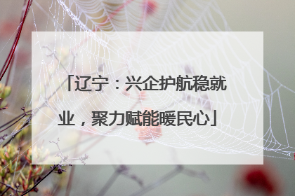 辽宁：兴企护航稳就业，聚力赋能暖民心