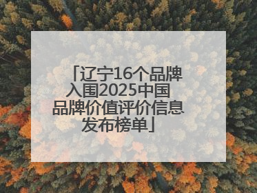 辽宁16个品牌入围2025中国品牌价值评价信息发布榜单