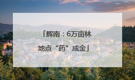 辉南：6万亩林地点“药”成金