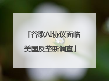 谷歌AI协议面临美国反垄断调查