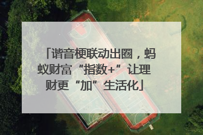 谐音梗联动出圈，蚂蚁财富“指数+”让理财更“加”生活化