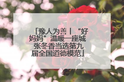 豫人为善丨“好妈妈”温暖一座城 张冬香当选第九届全国道德模范