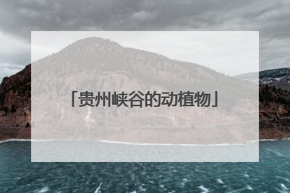 贵州峡谷的动植物