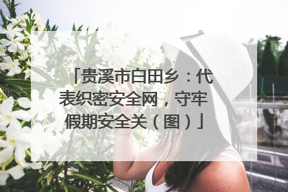 贵溪市白田乡：代表织密安全网，守牢假期安全关（图）