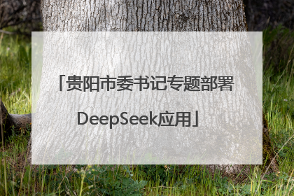贵阳市委书记专题部署DeepSeek应用