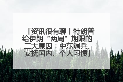 资讯很有聊丨特朗普给伊朗“两周”期限的三大原因：中东调兵、安抚国内、个人习惯