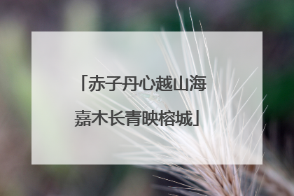 赤子丹心越山海 嘉木长青映榕城
