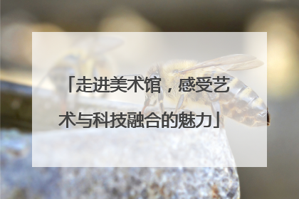 走进美术馆，感受艺术与科技融合的魅力