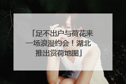 足不出户与荷花来一场浪漫约会！湖北推出赏荷地图