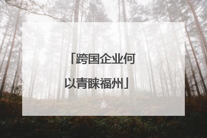 跨国企业何以青睐福州