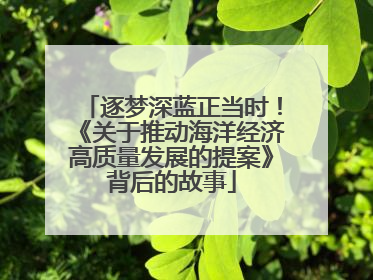 逐梦深蓝正当时！《关于推动海洋经济高质量发展的提案》背后的故事