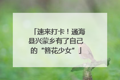 速来打卡！通海县兴蒙乡有了自己的“簪花少女”