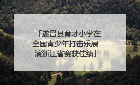 遂昌县育才小学在全国青少年打击乐展演浙江省赛获佳绩