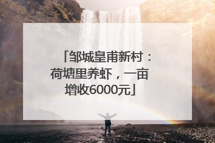 邹城皇甫新村：荷塘里养虾，一亩增收6000元