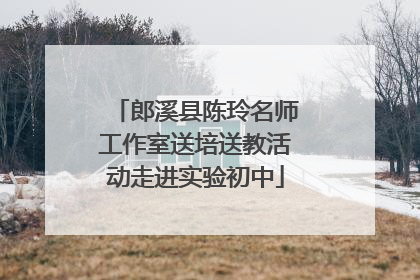 郎溪县陈玲名师工作室送培送教活动走进实验初中