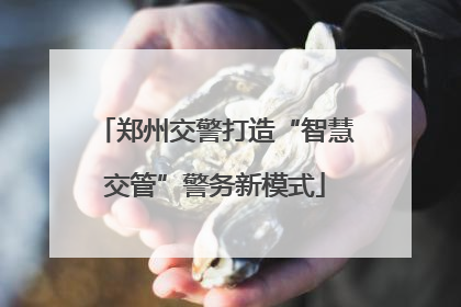 郑州交警打造“智慧交管”警务新模式