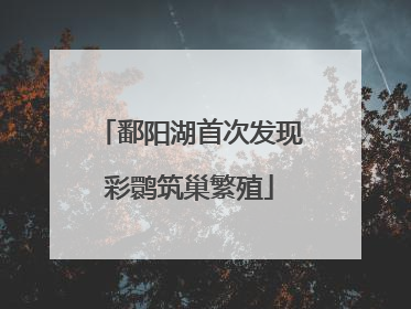 鄱阳湖首次发现彩鹮筑巢繁殖
