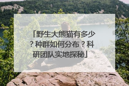 野生大熊猫有多少？种群如何分布？科研团队实地探秘