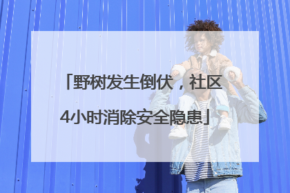 野树发生倒伏，社区4小时消除安全隐患
