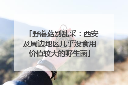 野蘑菇别乱采：西安及周边地区几乎没食用价值较大的野生菌