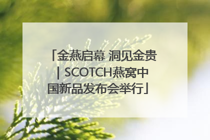 金燕启幕 洞见金贵｜SCOTCH燕窝中国新品发布会举行
