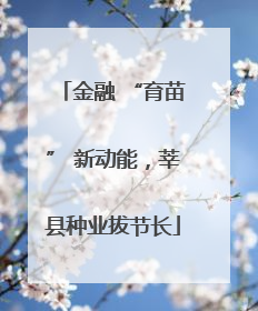 金融 “育苗” 新动能，莘县种业拔节长