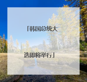 韩国总统大选即将举行