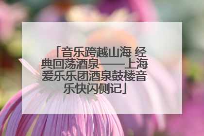 音乐跨越山海 经典回荡酒泉——上海爱乐乐团酒泉鼓楼音乐快闪侧记