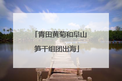 青田黄菊和阜山笋干组团出海