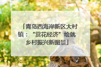 青岛西海岸新区大村镇：“赏花经济”绘就乡村振兴新图景