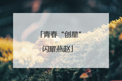 青春“创星” 闪耀燕赵