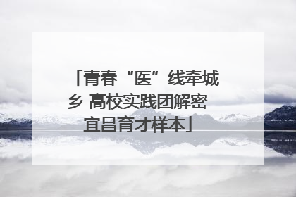 青春“医”线牵城乡 高校实践团解密宜昌育才样本