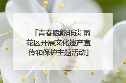 青春赋能非遗 雨花区开展文化遗产宣传和保护主题活动