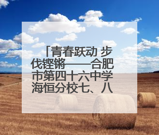 青春跃动 步伐铿锵——合肥市第四十六中学海恒分校七、八年级跑操比赛圆满落幕