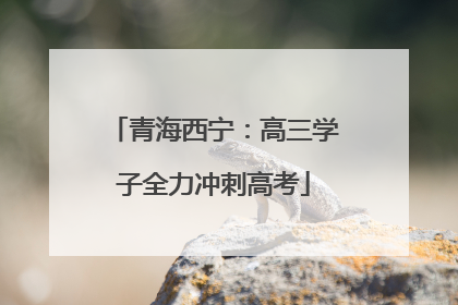 青海西宁：高三学子全力冲刺高考
