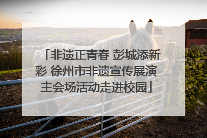 非遗正青春 彭城添新彩 徐州市非遗宣传展演主会场活动走进校园