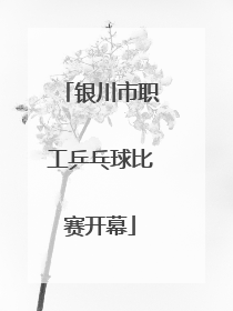 银川市职工乒乓球比赛开幕