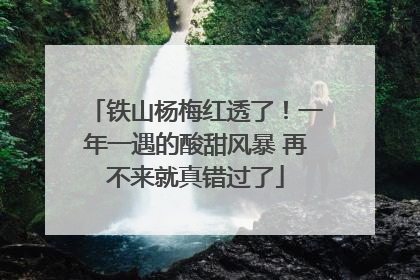 铁山杨梅红透了！一年一遇的酸甜风暴 再不来就真错过了