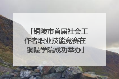 铜陵市首届社会工作者职业技能竞赛在铜陵学院成功举办