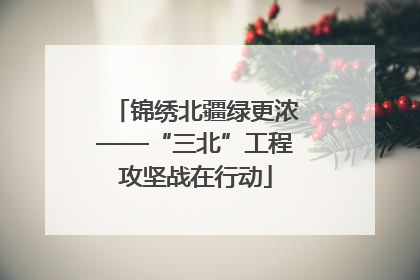 锦绣北疆绿更浓——“三北”工程攻坚战在行动