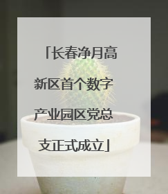 长春净月高新区首个数字产业园区党总支正式成立