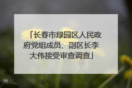 长春市绿园区人民政府党组成员、副区长李大伟接受审查调查