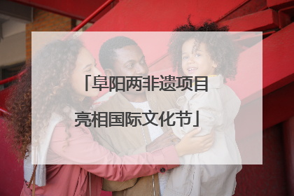 阜阳两非遗项目亮相国际文化节