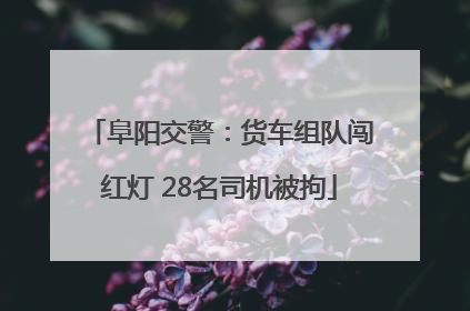 阜阳交警：货车组队闯红灯 28名司机被拘