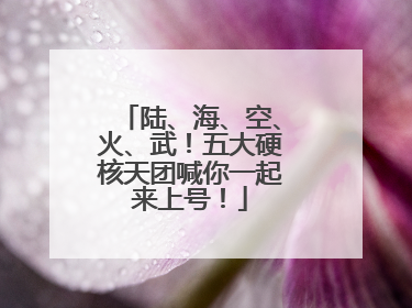 陆、海、空、火、武！五大硬核天团喊你一起来上号！