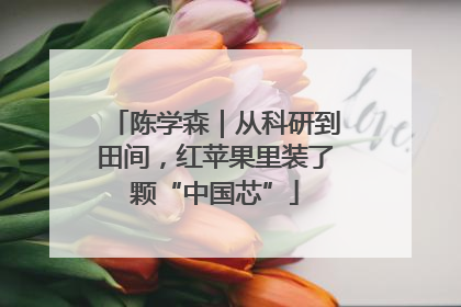 陈学森｜从科研到田间，红苹果里装了颗“中国芯”