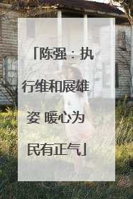 陈强：执行维和展雄姿 暖心为民有正气