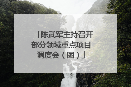 陈武军主持召开部分领域重点项目调度会（图）